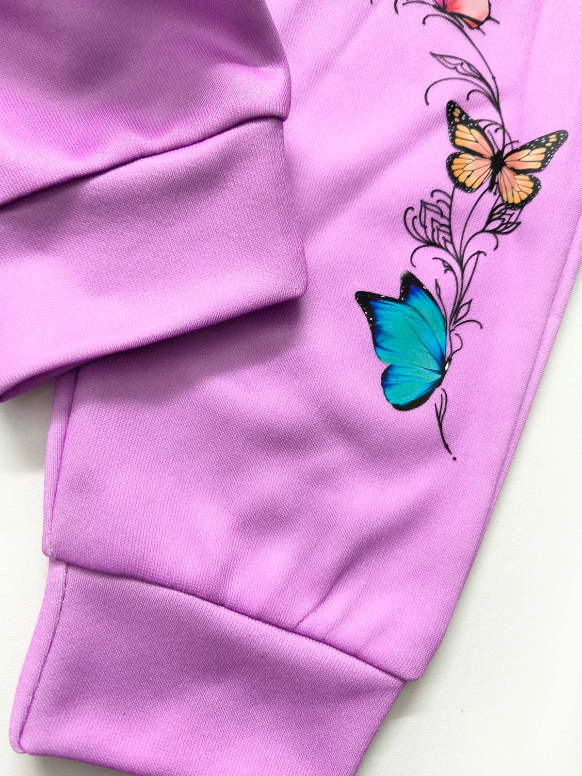 Autumn Winter Toddler Baby Girls Fleece Clothes Set Cute Cartoon Butterfly Printed Hooded Sweatshirt Sweatpants 2Pcs Outfit 1-6Y