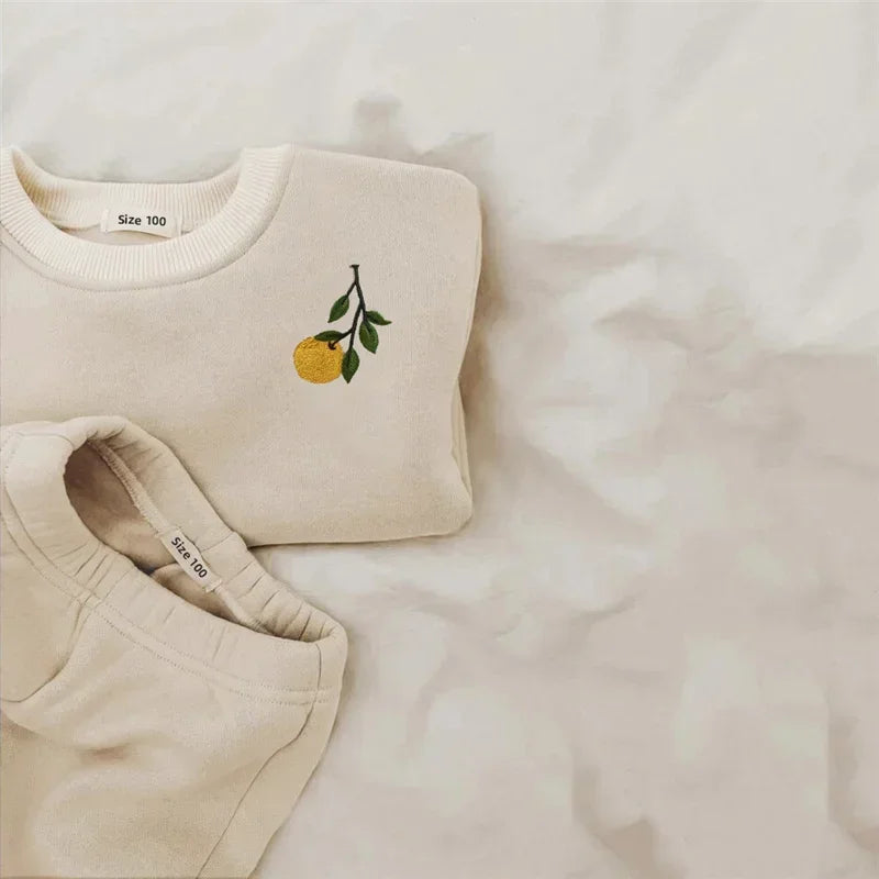 Autumn Winter Baby Girl Boy Clothes Set Embroidery Thicken Fleece Warm Sweatshirt Pant Boy Tracksuit Toddler Clothes Outfit 2Pcs