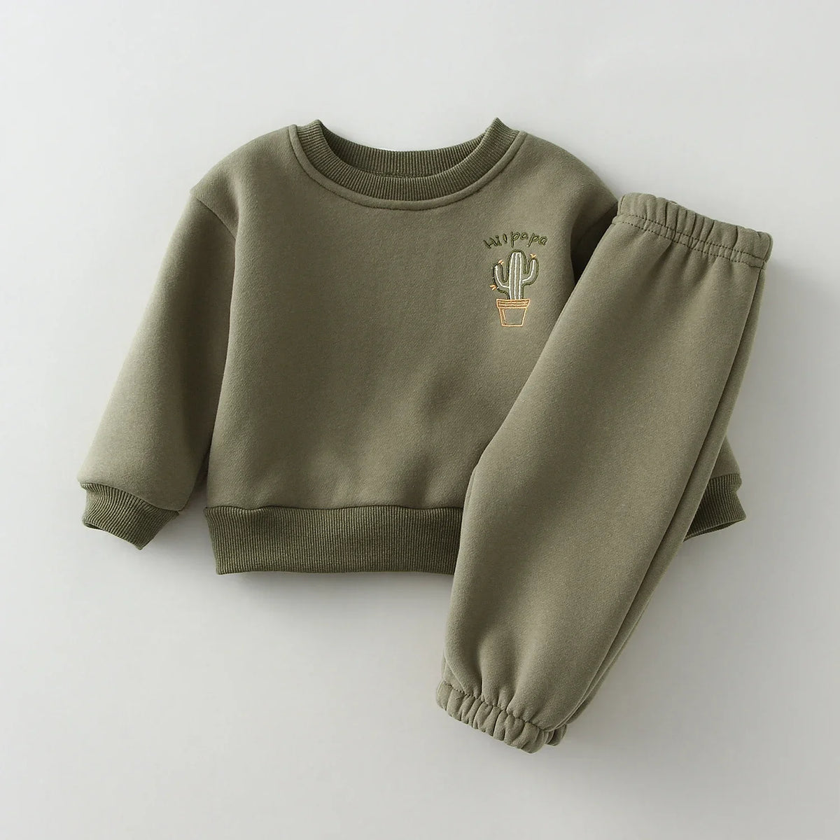 Autumn Winter Baby Girl Boy Clothes Set Embroidery Thicken Fleece Warm Sweatshirt Pant Boy Tracksuit Toddler Clothes Outfit 2Pcs