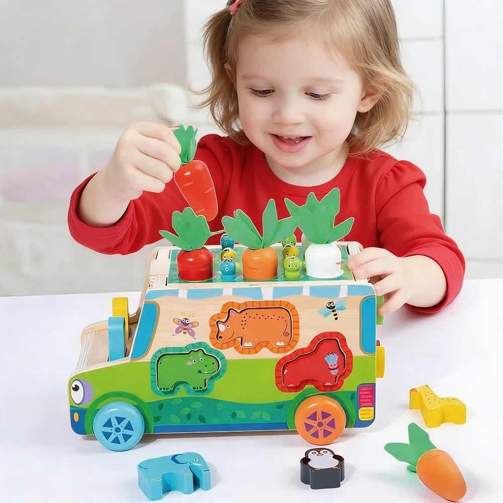 Montessori Wooden Carrot Toy for 1-3 Years, Fine Motor Skills Development, Educational Gift for Toddlers Boys Girls，birthday
